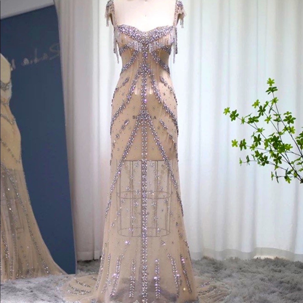 Beautiful Kendall Jenner met gala lookalike See through over lay dress